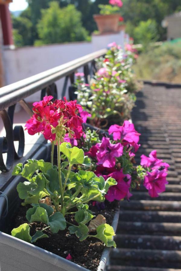El Balcon Del Hueznar Apartment กาซาญา เดลา เซียร์รา ภายนอก รูปภาพ